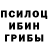 Псилоцибиновые грибы Psilocybine cubensis Valeria Balanchuk