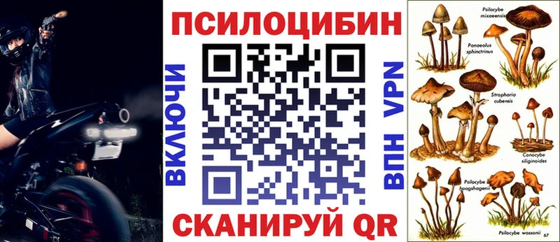 Галлюциногенные грибы Psilocybine cubensis  Лесосибирск 